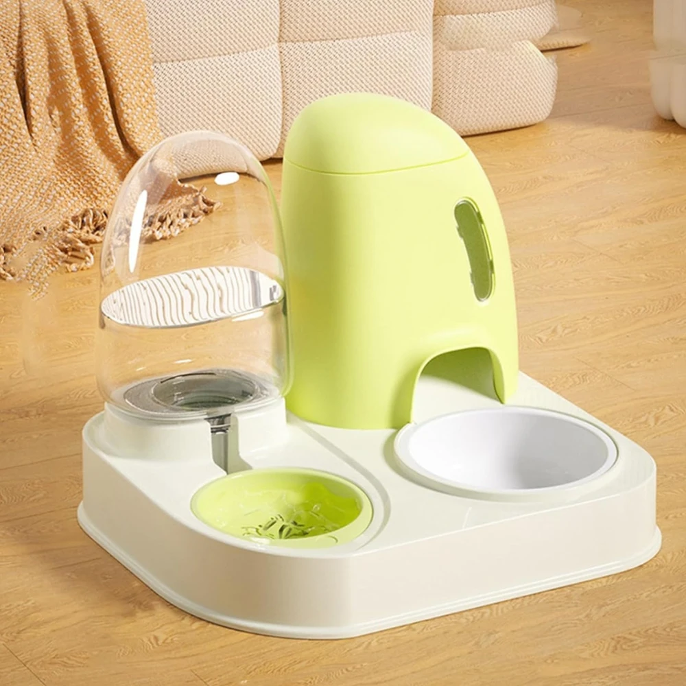 Food bowl with green drink