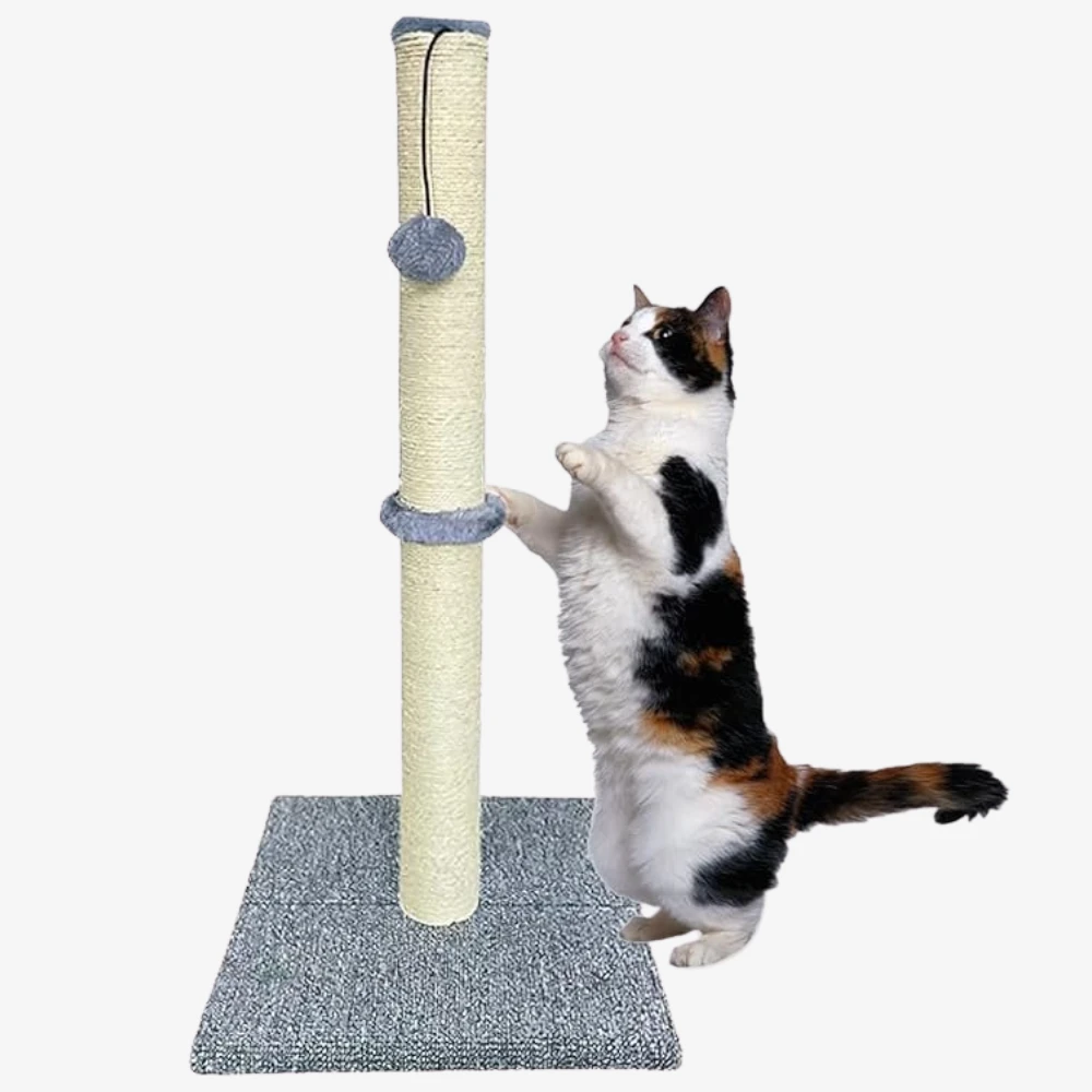 Grey column scratcher