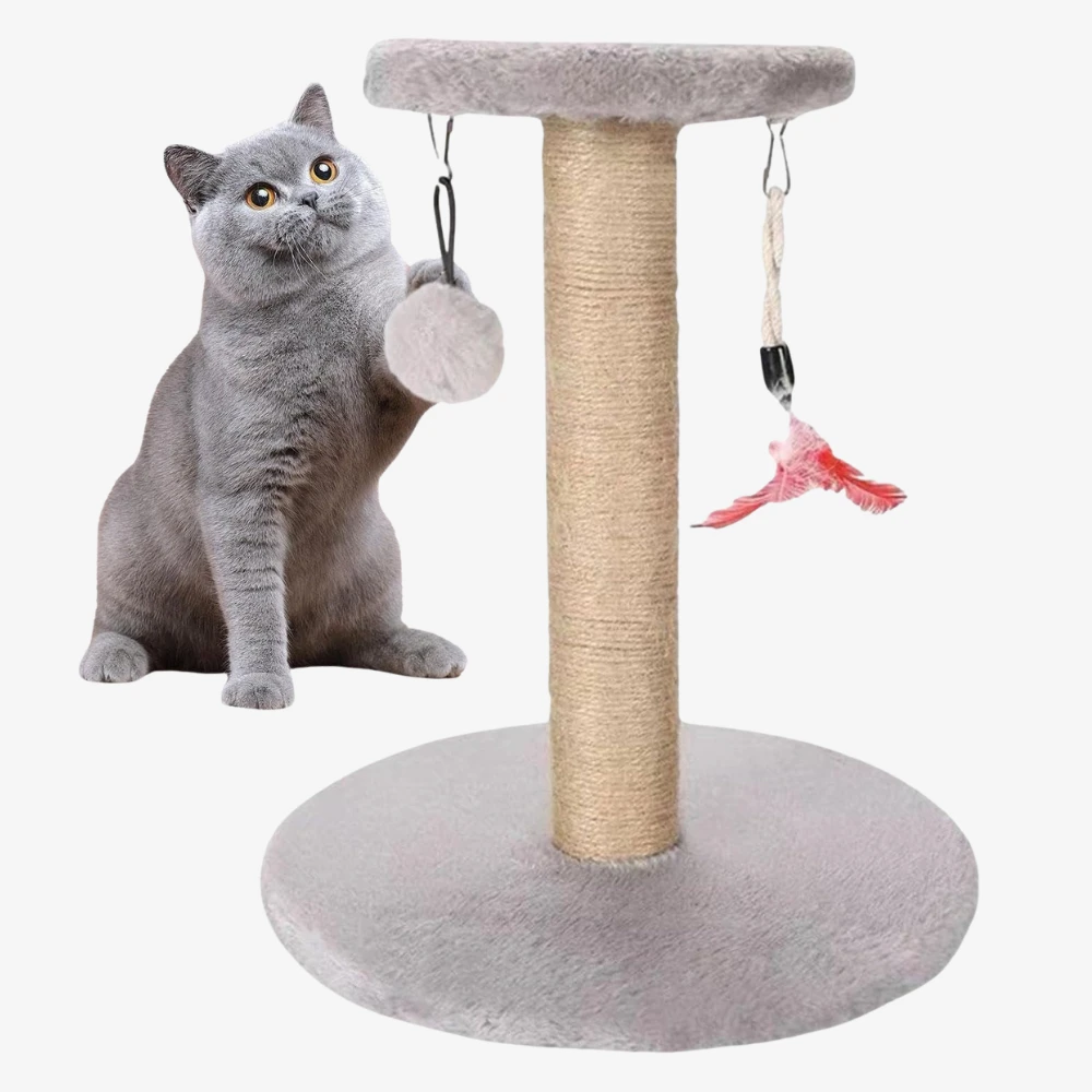 Small white scratcher