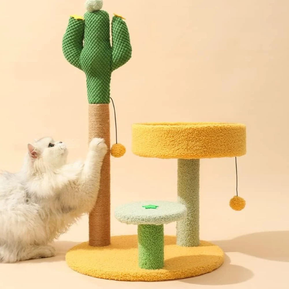 Cactus scratcher