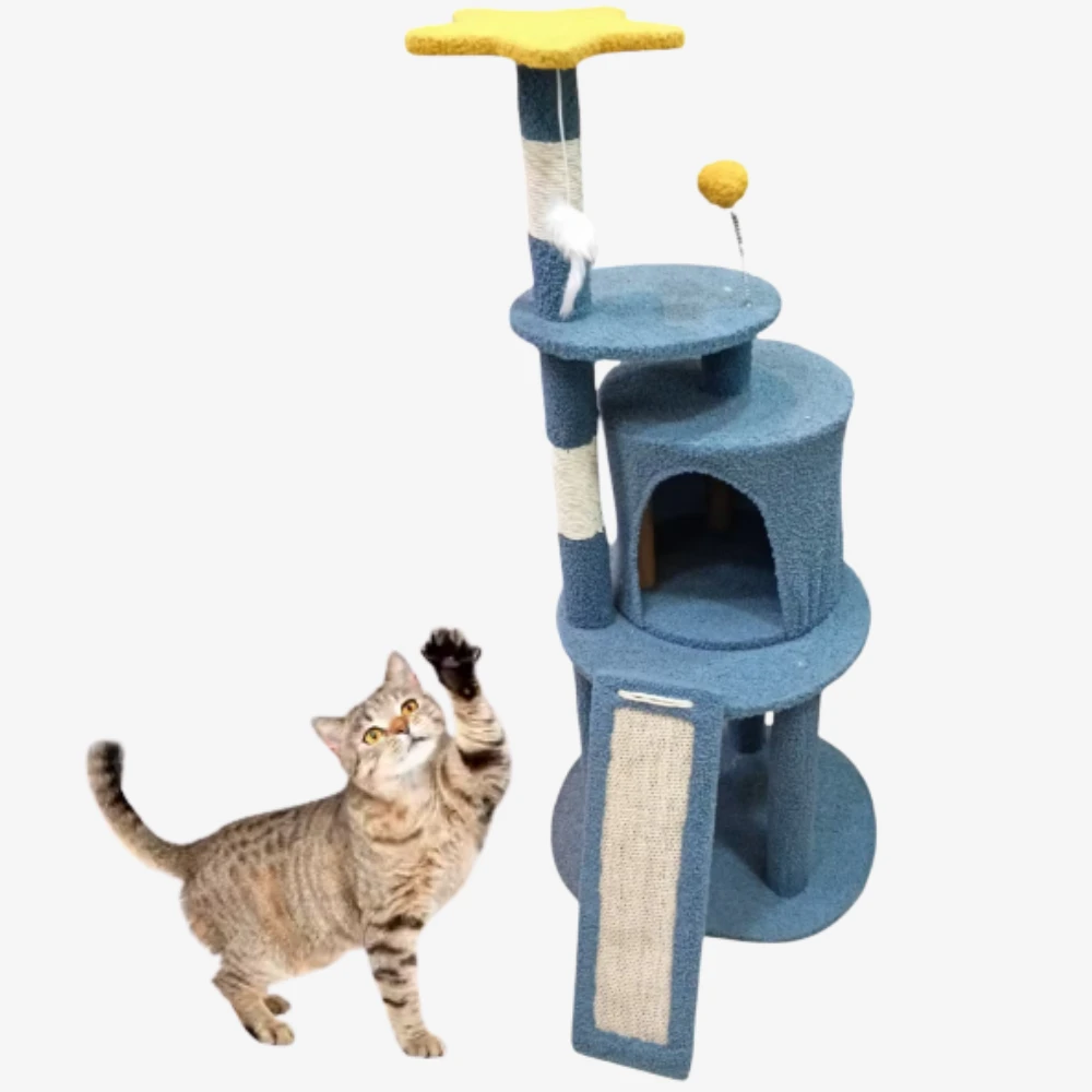 Blue scratcher
